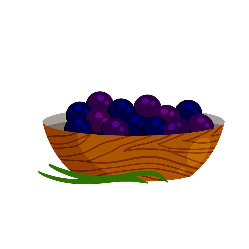 Acai berries in plate. Black fruit. vector