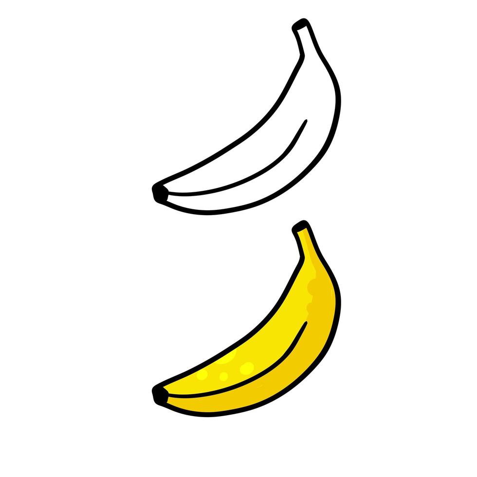 icono de plátano. conjunto de frutos amarillos. vector