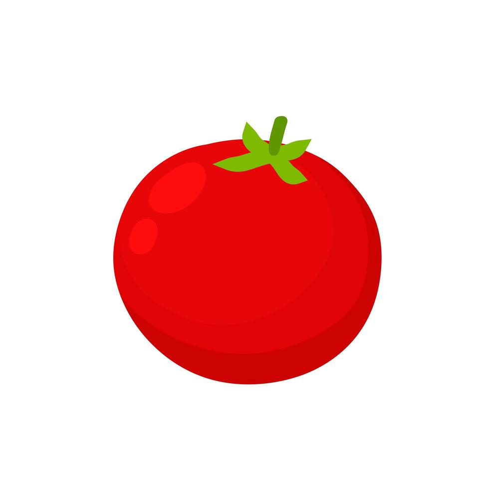 tomate. verdura roja. cosecha y comida vegetariana. vector