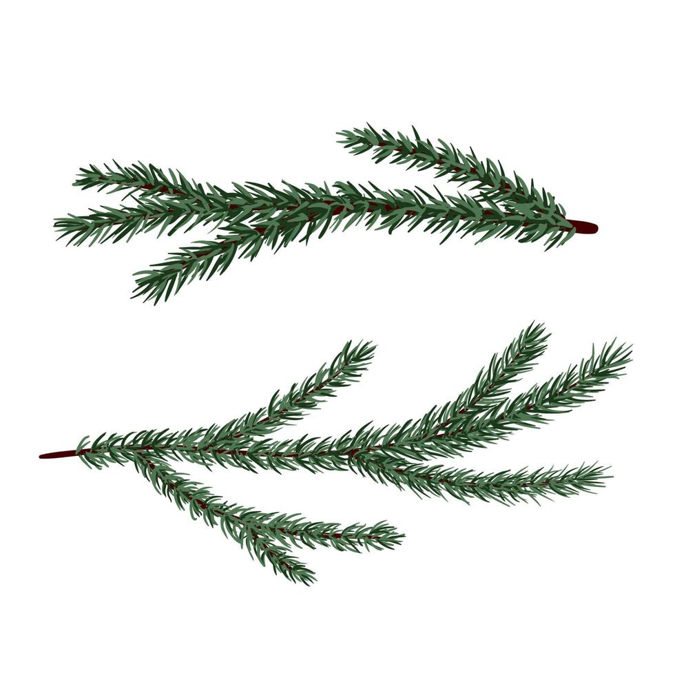 Coniferous Fir Trees Evergreen Branches Vector Set Isolated On White  Background Flat Vector Element For Winter Holiday Decoration Design Stock  Illustration - Download Image Now - iStock