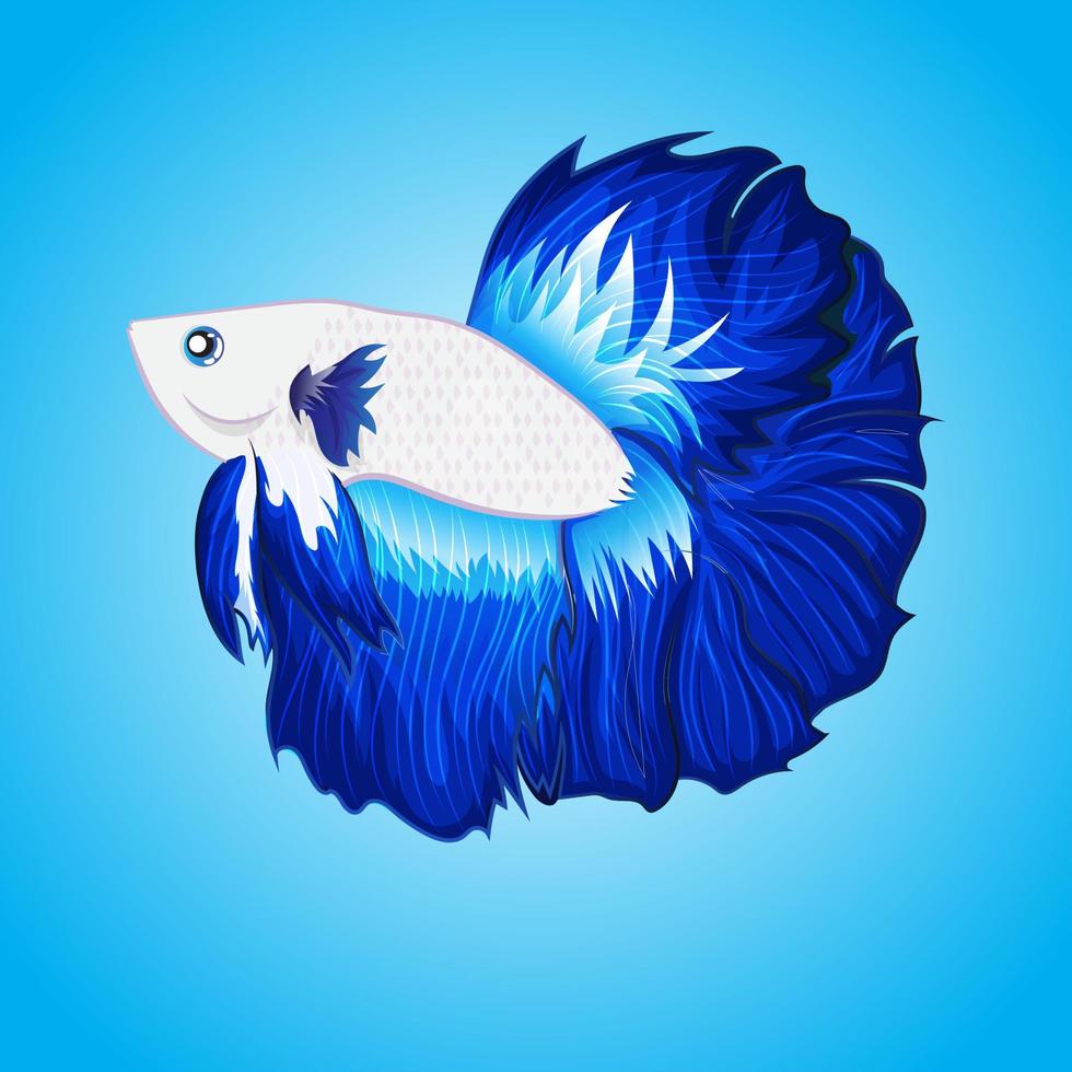 ilustración del logotipo de la mascota de los peces betta para su mercancía o antecedentes comerciales aislados vector