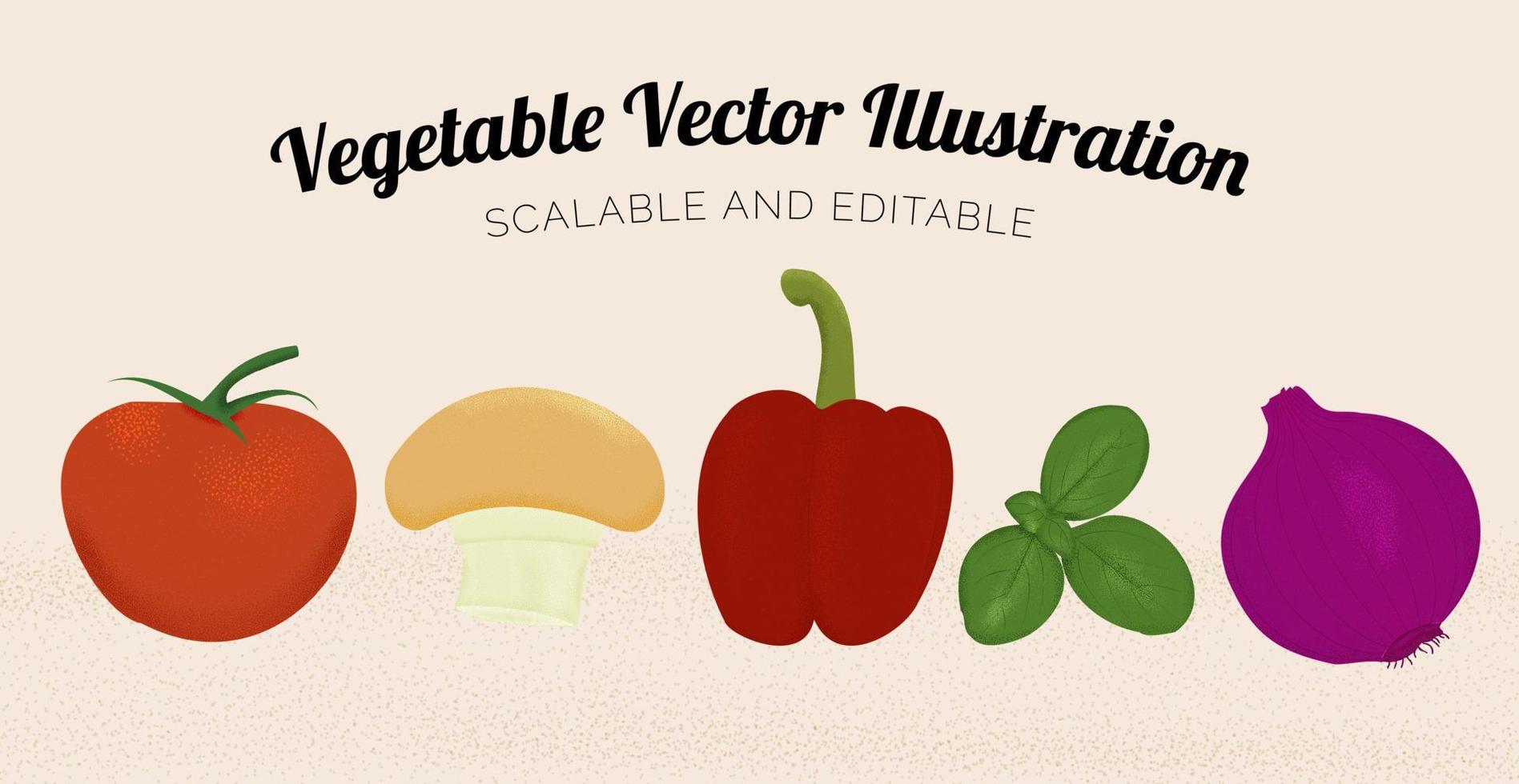 Vegetable Vector Illustration Retro Style Scalable