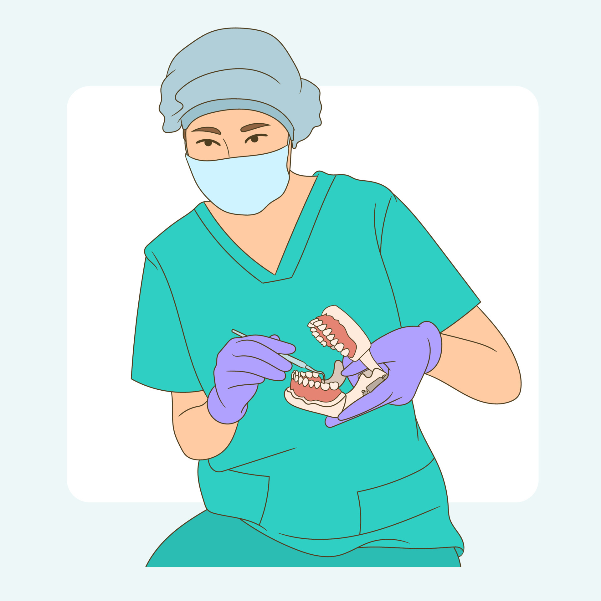 Female dentist showing how to clean teeth correctly 5266648 Vector Art