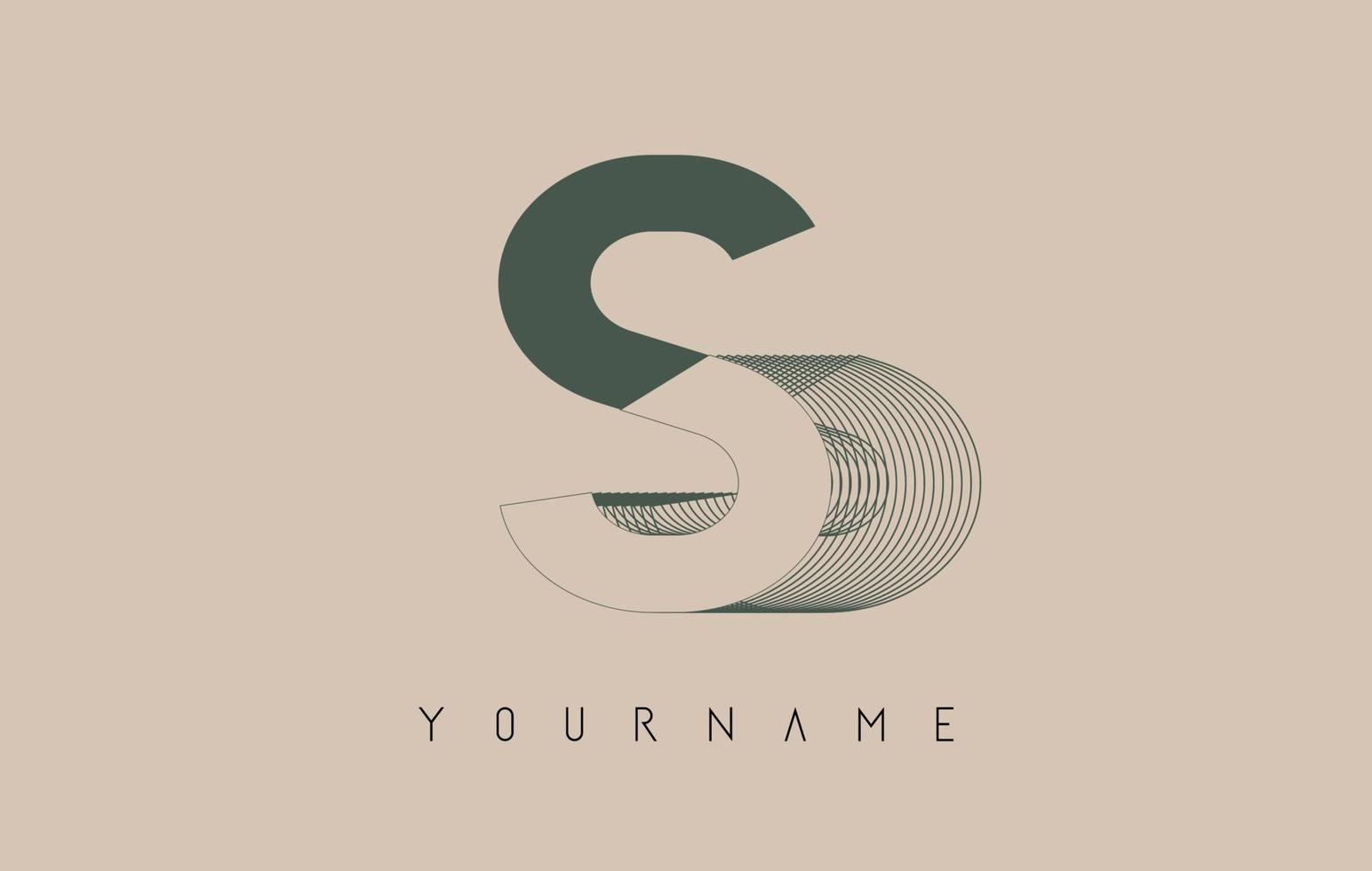Wireframe S Letter Logo Design in two colors. Creative vector illustration with wired, mirrored outline frame.