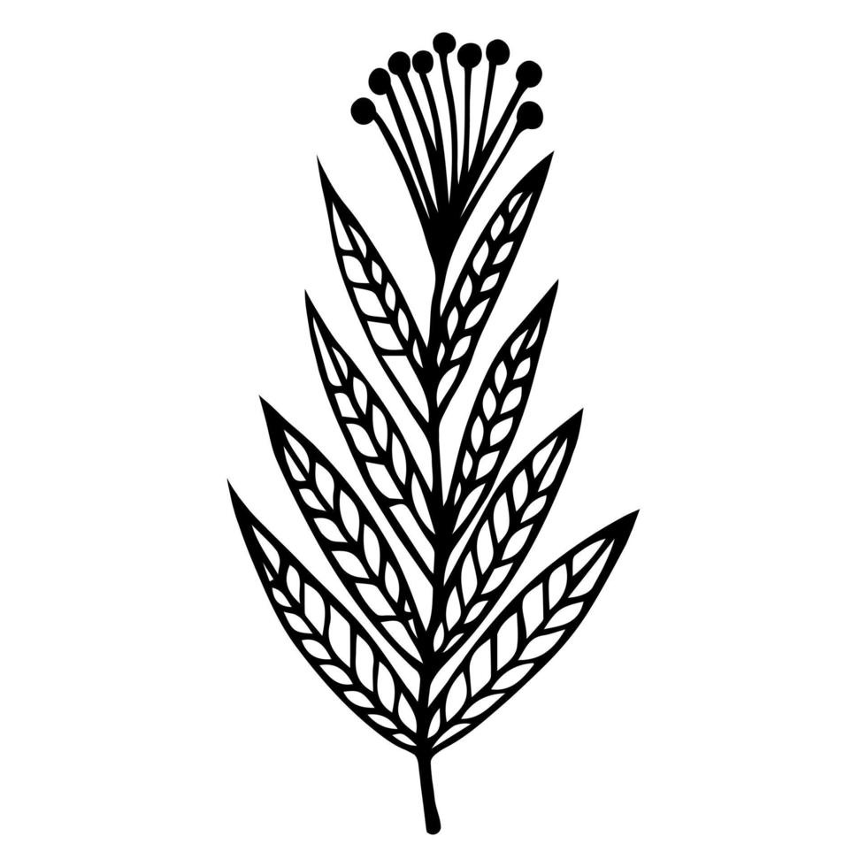flor silvestre con icono de vector de hojas veteadas. ilustración dibujada a mano aislada sobre fondo blanco. una ramita con una inflorescencia umbelada y bayas redondas. boceto monocromático botánico.