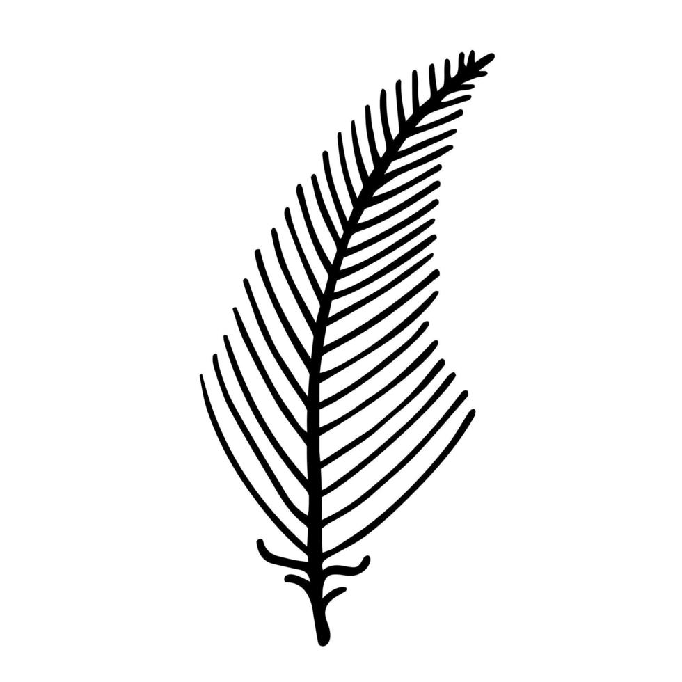 Fern leaf silhouette vector icon. Hand-drawn illustration isolated on white background. Bracken leaves on the stem. Botanical sketch. Tropical plant outline. Monochrome boho element.