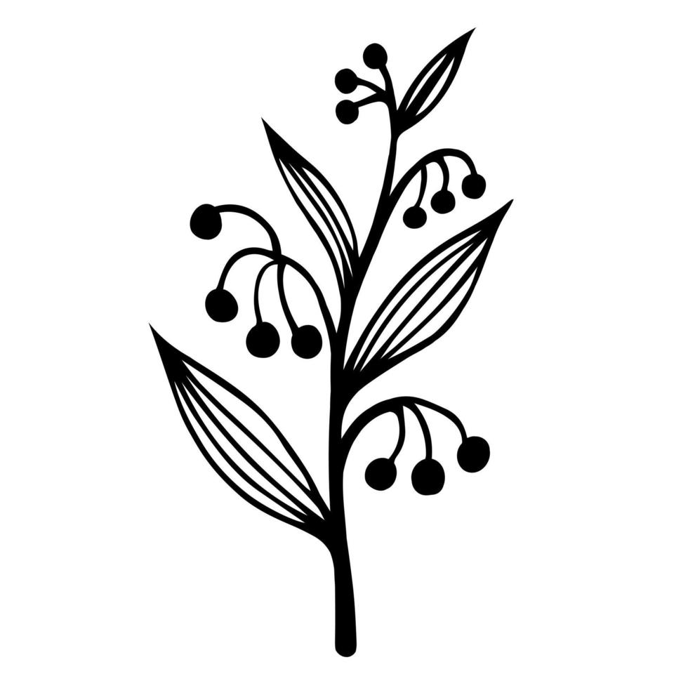 planta de campo con hojas veteadas e icono de vector de bayas. ilustración dibujada a mano aislada sobre fondo blanco. boceto botánico. silueta de hierba silvestre. una ramita con inflorescencias y semillas redondas.