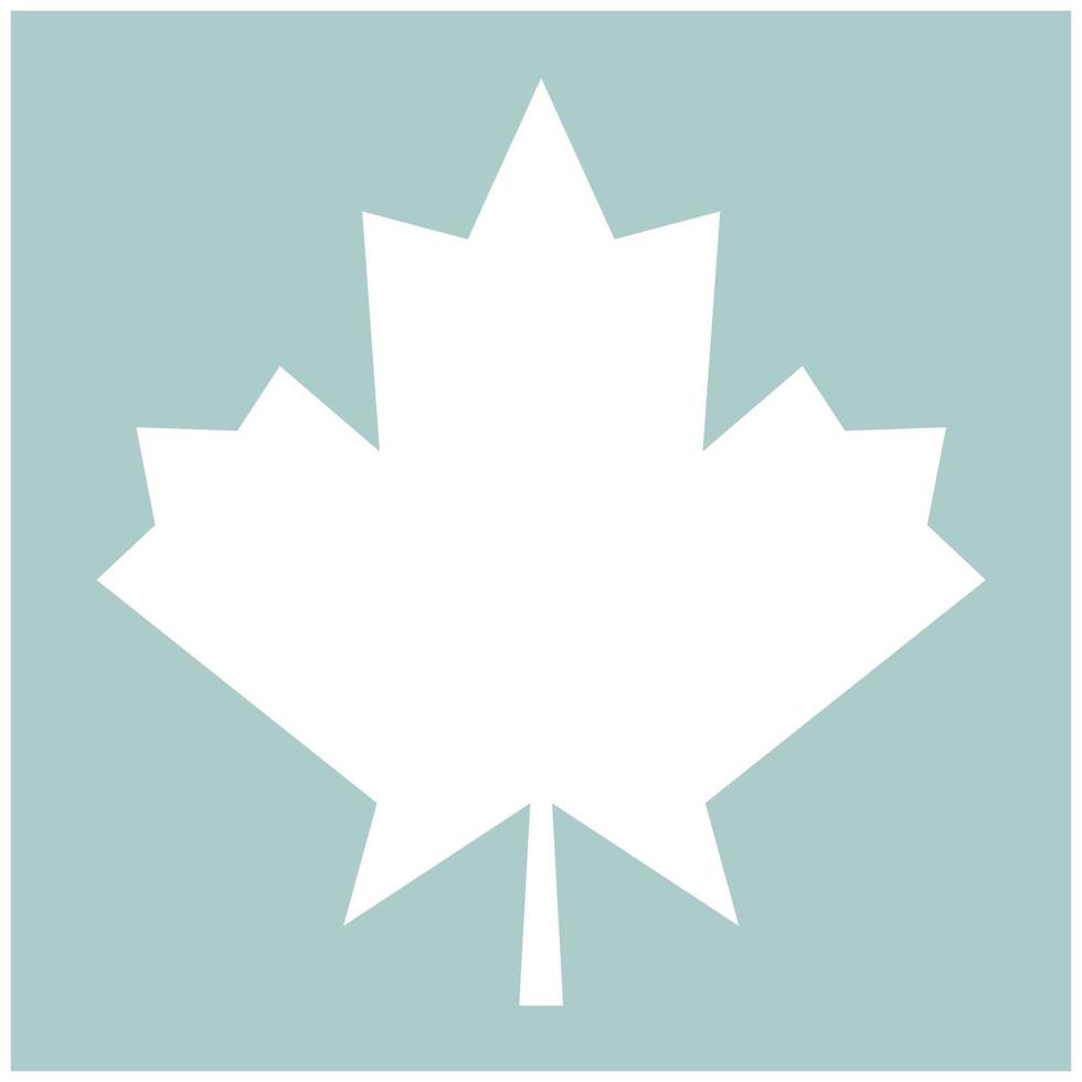 Maple leaf the white color icon vector