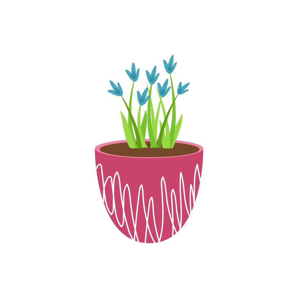 blue hyacinths in a raspberry ceramic pot isolated on white background image. Design of postcards, flower delivery, sticker. Vector illustration