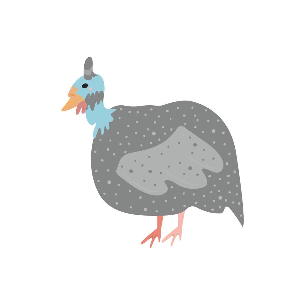 Isolated image of a guinea fowl on a white background. Stylized bird, cute childish illustration. Hand-drawn style. Vector illustration