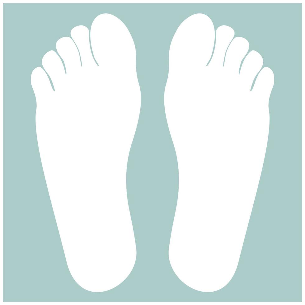 Footprint heel the white color icon vector