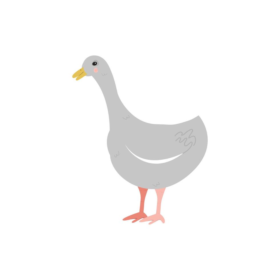 gray goose isolated image on white background. Stylized cartoon illustration for children's prints, advertising of goose feather and fluff products, pates. Vector illustration