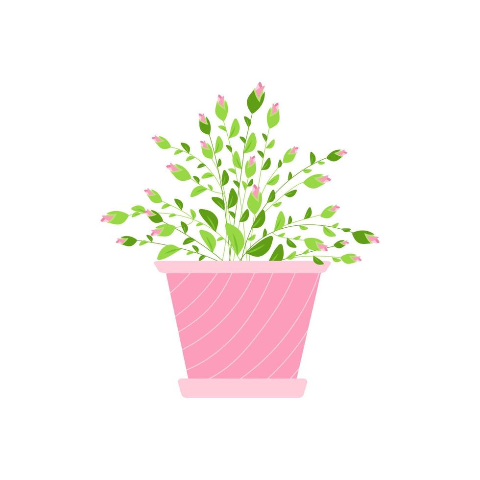 bush pink rose with unblown buds in a flower pot. Design element for postcards, stickers, flower delivery advertising in pots. Vector illustration