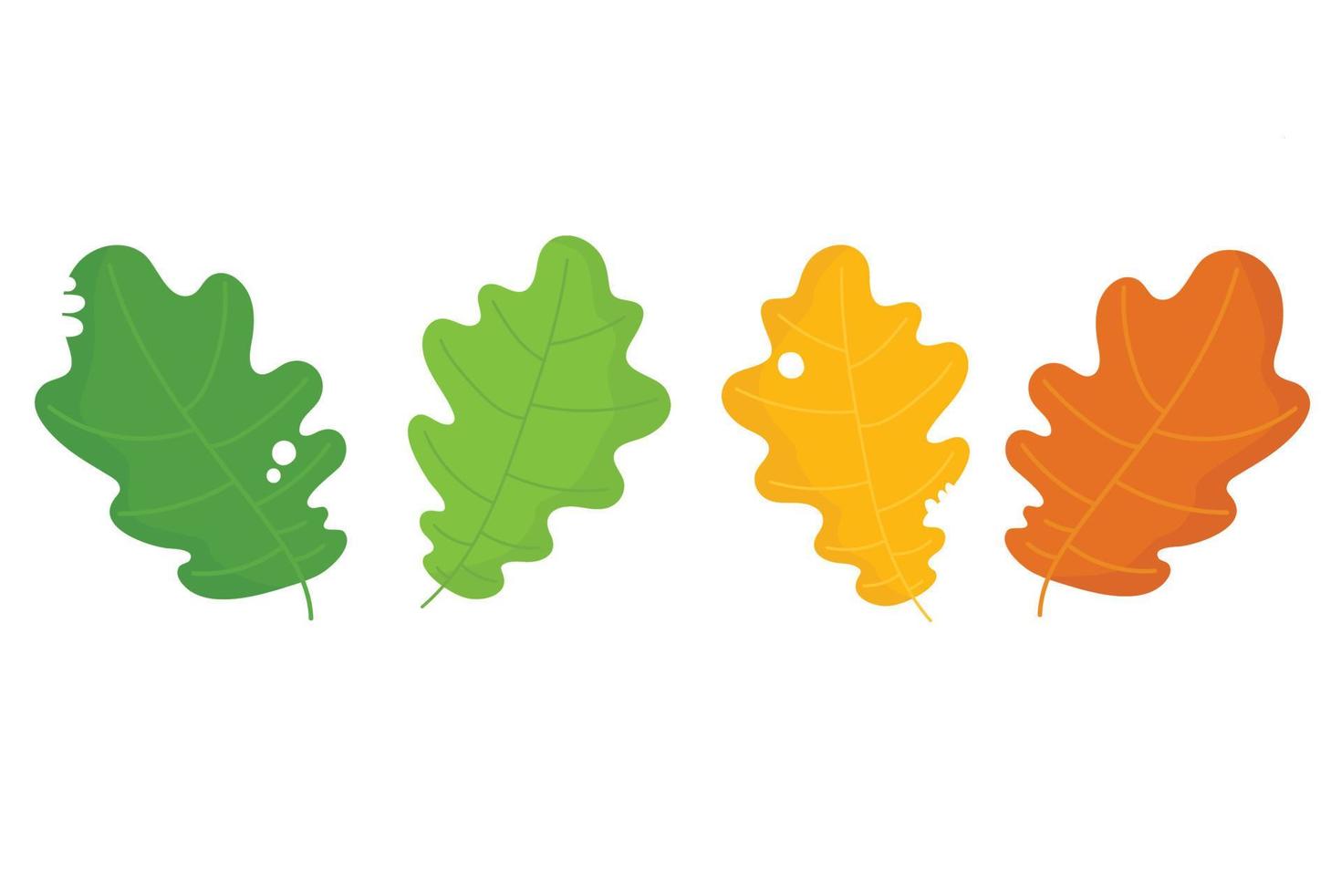 Seasonal specific oak leaves icon. Autumn leaves set. vector