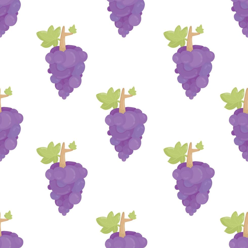 Grape bunch seamless pattern on white background with leaves, Fresh organic food vector