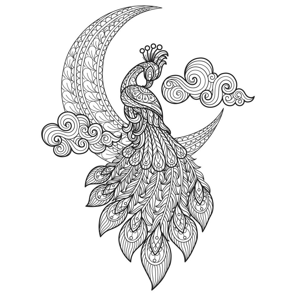 Peacock and moon hand drawn for adult coloring book vector