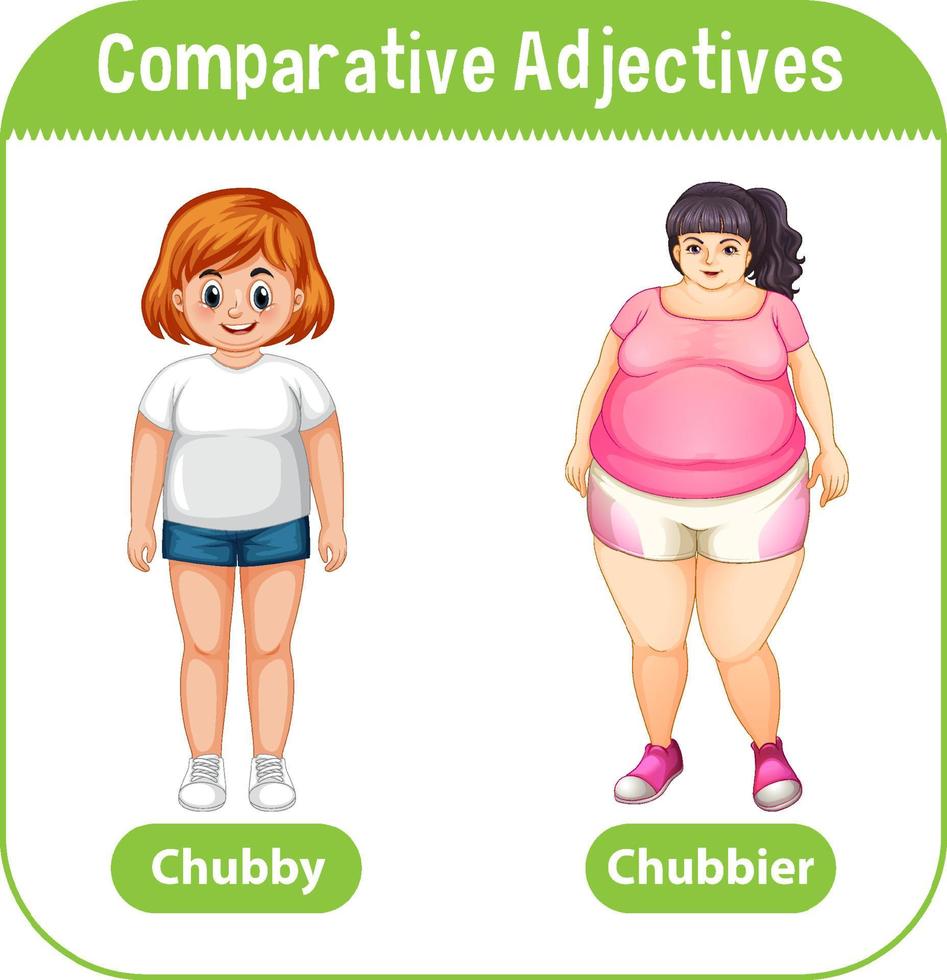 Comparative Adjectives for word chubby vector