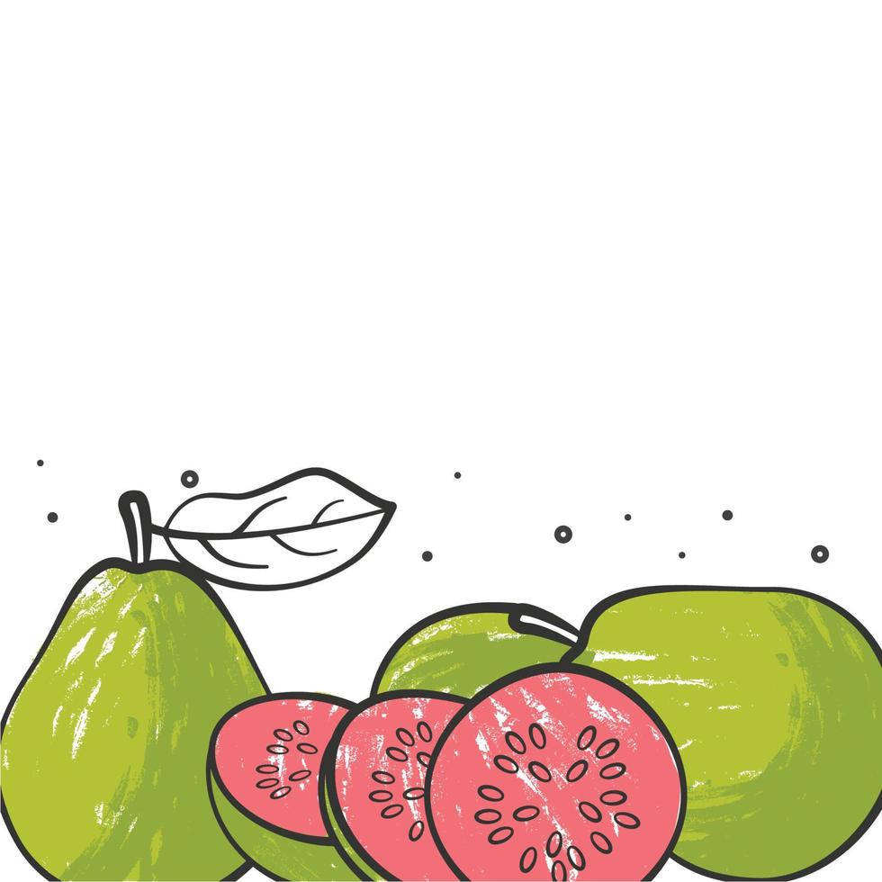 Illustration vector graphic of guava