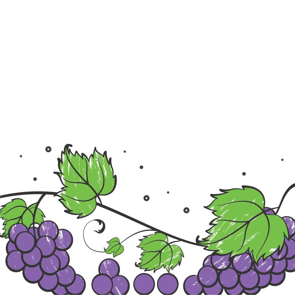 ilustración vectorial gráfico de uva vector