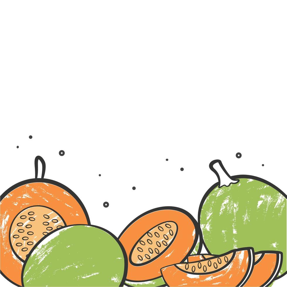 ilustración vectorial gráfico de melón vector