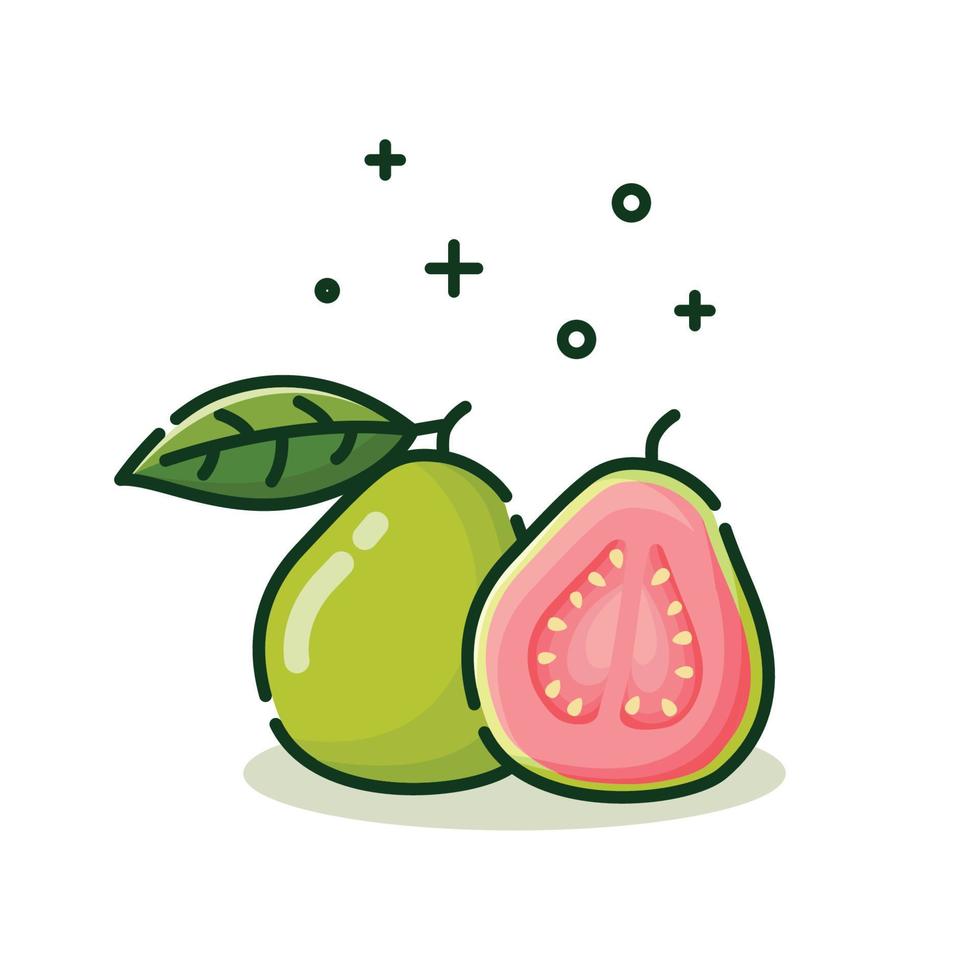Guava minimalist style isolated on a white background vector