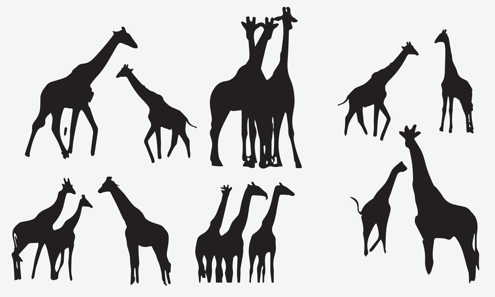 Set of vector silhouettes of giraffes. Set vector silhouettes of African giraffes. eps 10