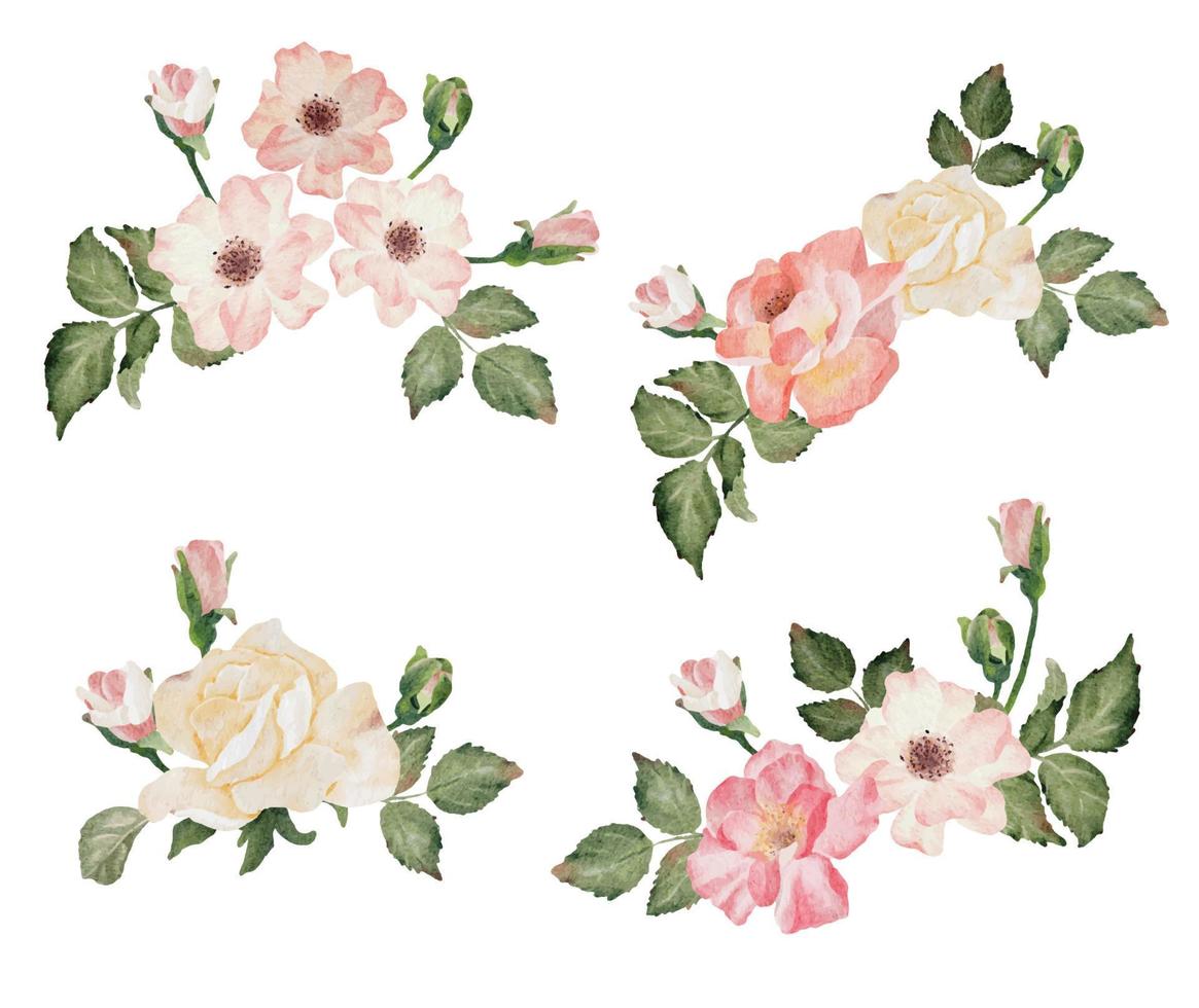 watercolor blooming rose branch flower bouquet collection vector