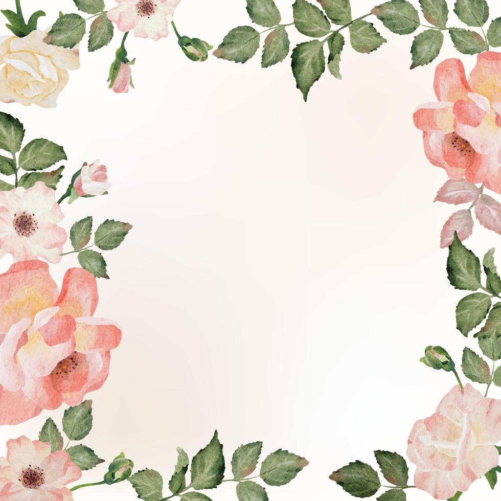 watercolor blooming rose branch flower bouquet wreath frame square banner background vector