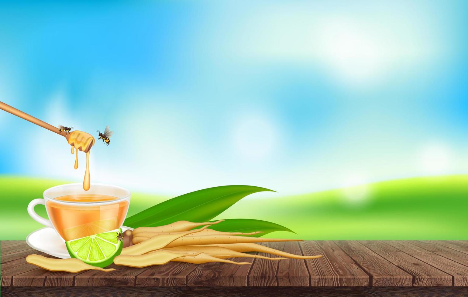 Kaempferia fresh with honey and lemon juice for health. Finger root herbal beverage with fresh rhizome. Vegetable and Herb for Seasoning in Cooking. On a wooden plank cright sky. 3D vector EPS10.