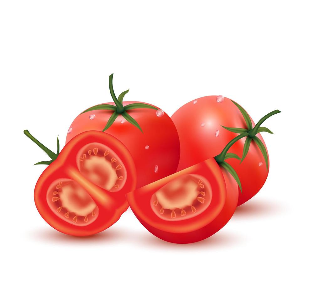 tomate fresco tomates enteros y medio cortados aislados en fondo blanco. alimentos orgánicos saludables vegetales, vegetarianos y veganos. ilustración vectorial 3d realista. vector