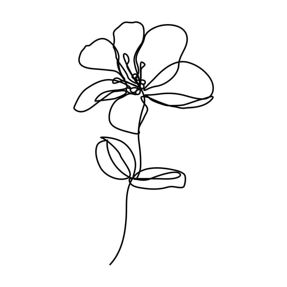 continuous line hand drawn beautiful black and white line flowers ...