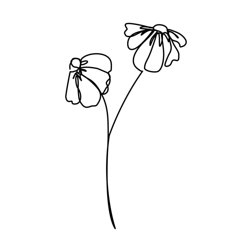 continuous line hand drawn beautiful black and white line flowers Design greeting cards and holiday invitations. raster line illustration vector