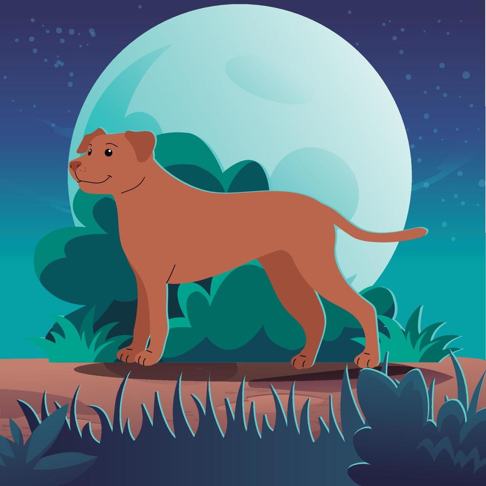 Scene of pet walking in the park on a cute night vector