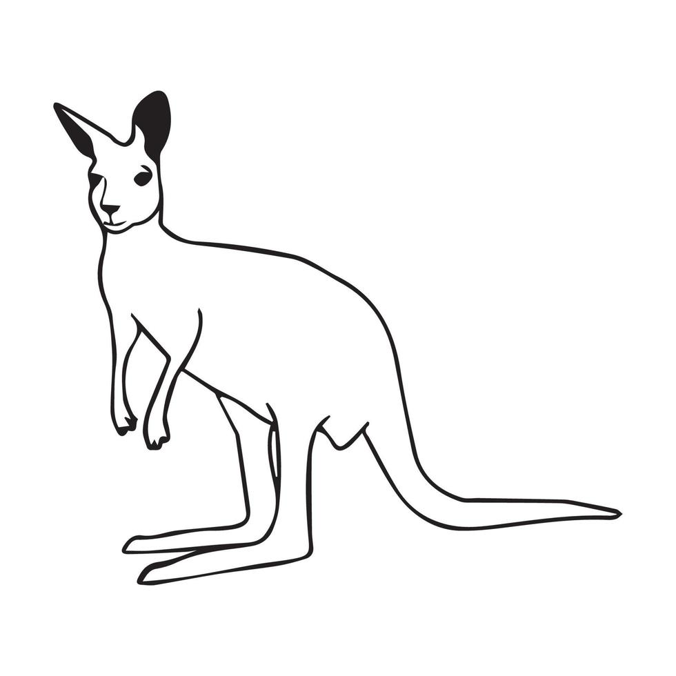 Kangaroo line art vector