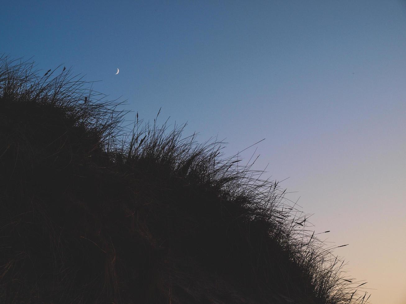 Crescent moon above dunes photo