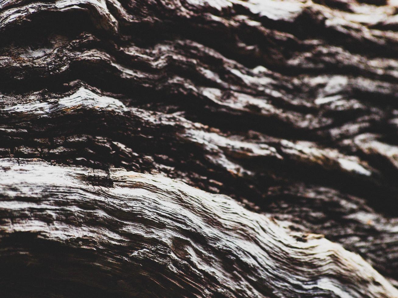 Weathered wood close-up photo