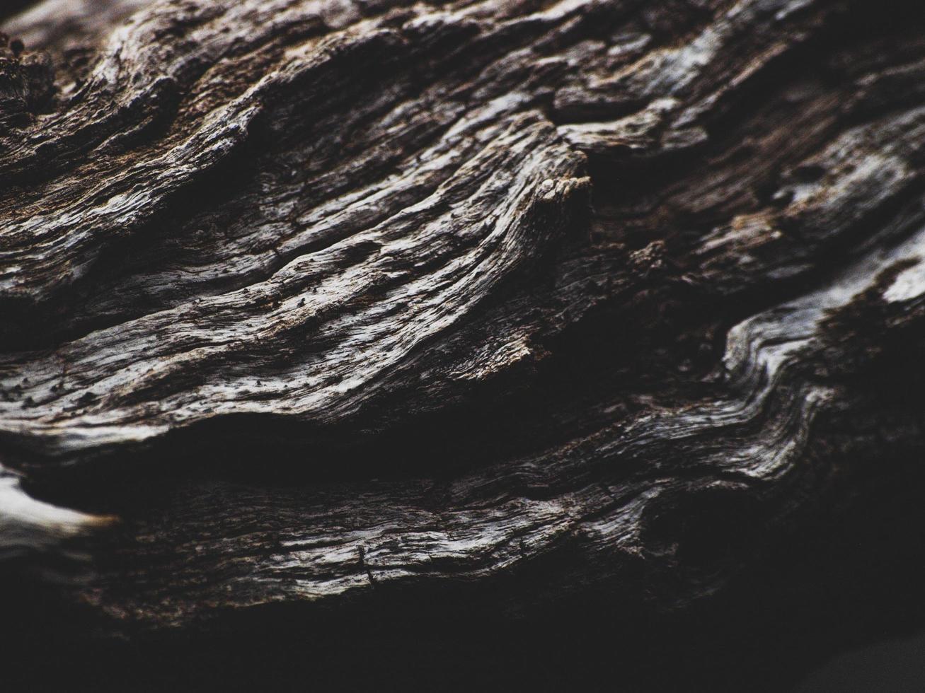 Close-up of weathered wood photo