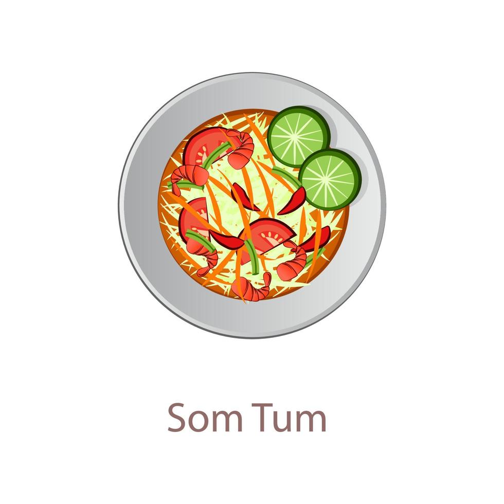 top view of popular food of Thailand,Som Tum vector