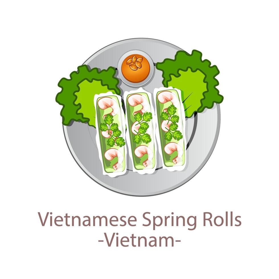 top view of popular food of ASEAN national,Vietnamese Spring Rolls,in cartoon vector