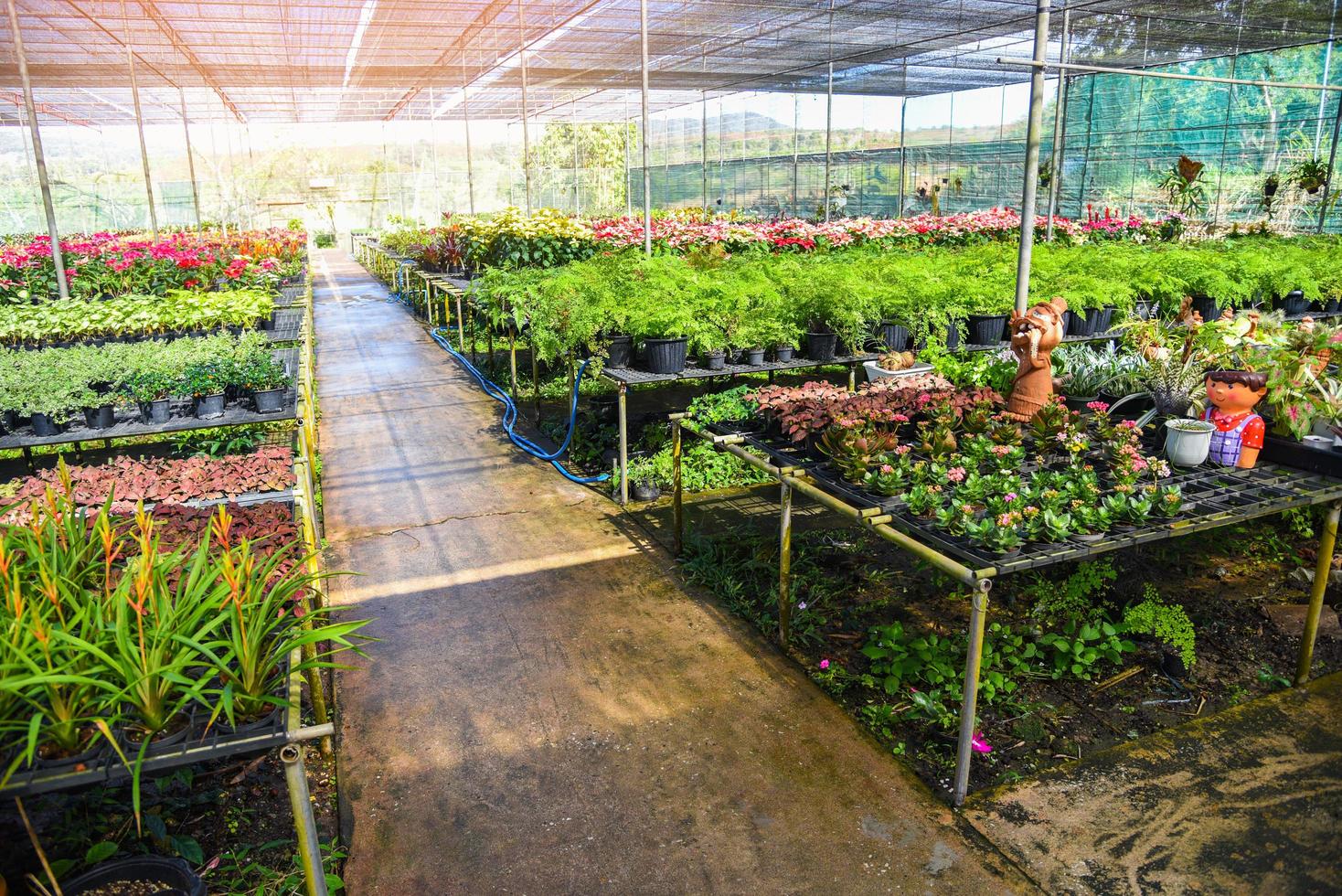 Plant Nursery Stock Photos, Images and Backgrounds for Free Download