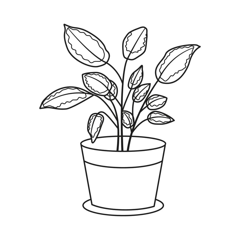 House plant in pot or planter. Potted plant in black and white line drawing style. Vector illustration isolated on white background