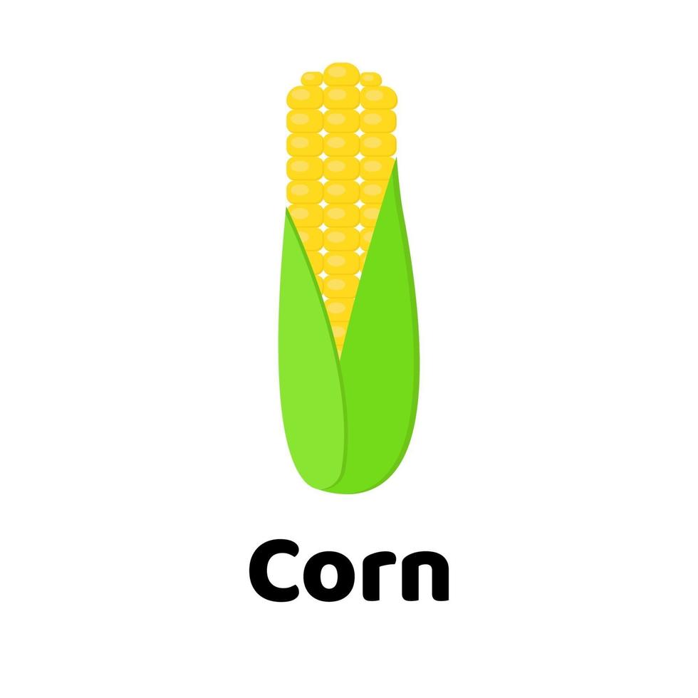 Vector illustration. Vegetable. corn