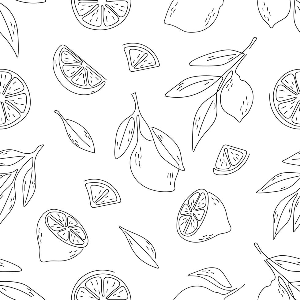 seamless pattern of lemon with hand draw style vector