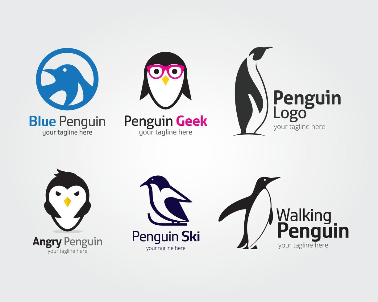 Penguin Logo Design Template. Vector illustration with flat style