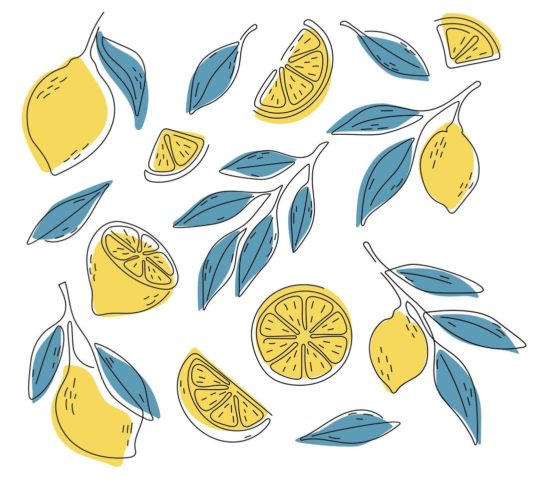 conjunto de iconos limón, ilustración vectorial sobre fondo blanco. toda la fruta y cortada en trozos. agrios. vector