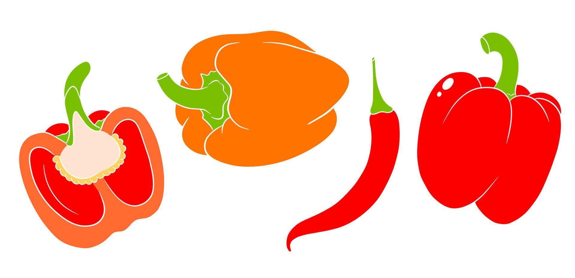 Pepper set. Fresh bell peppers and hot peppers. vector