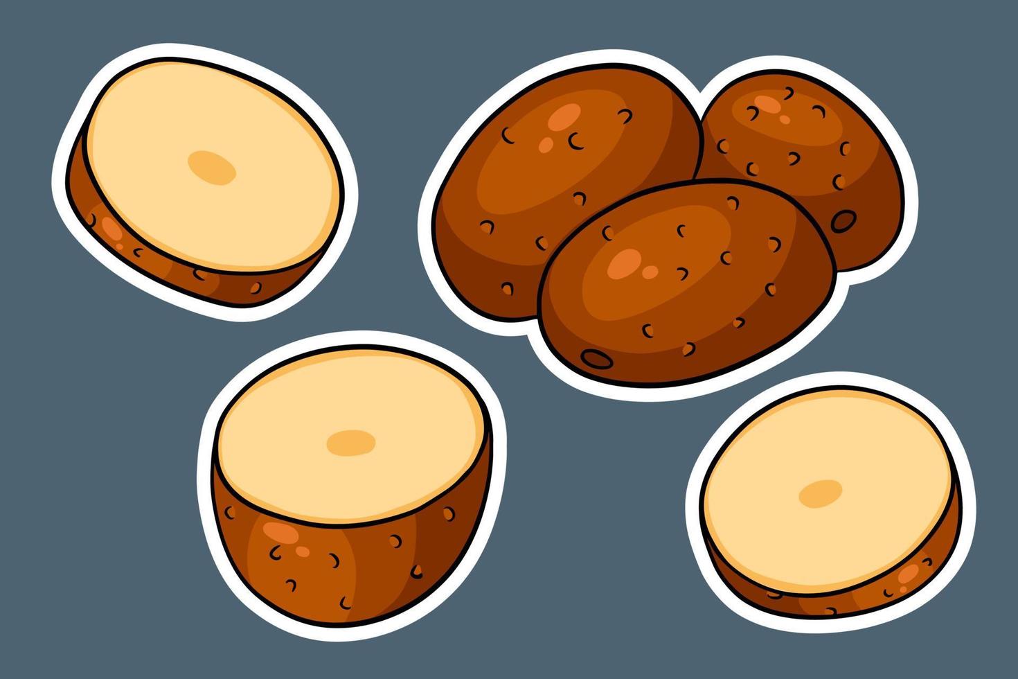 Set of potatoes. Whole potatoes, cut into wedges, half. vector