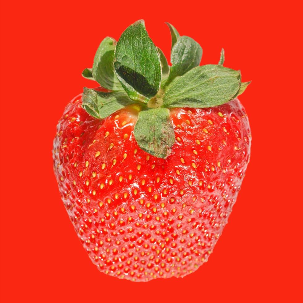 Strawberry fruit over red photo