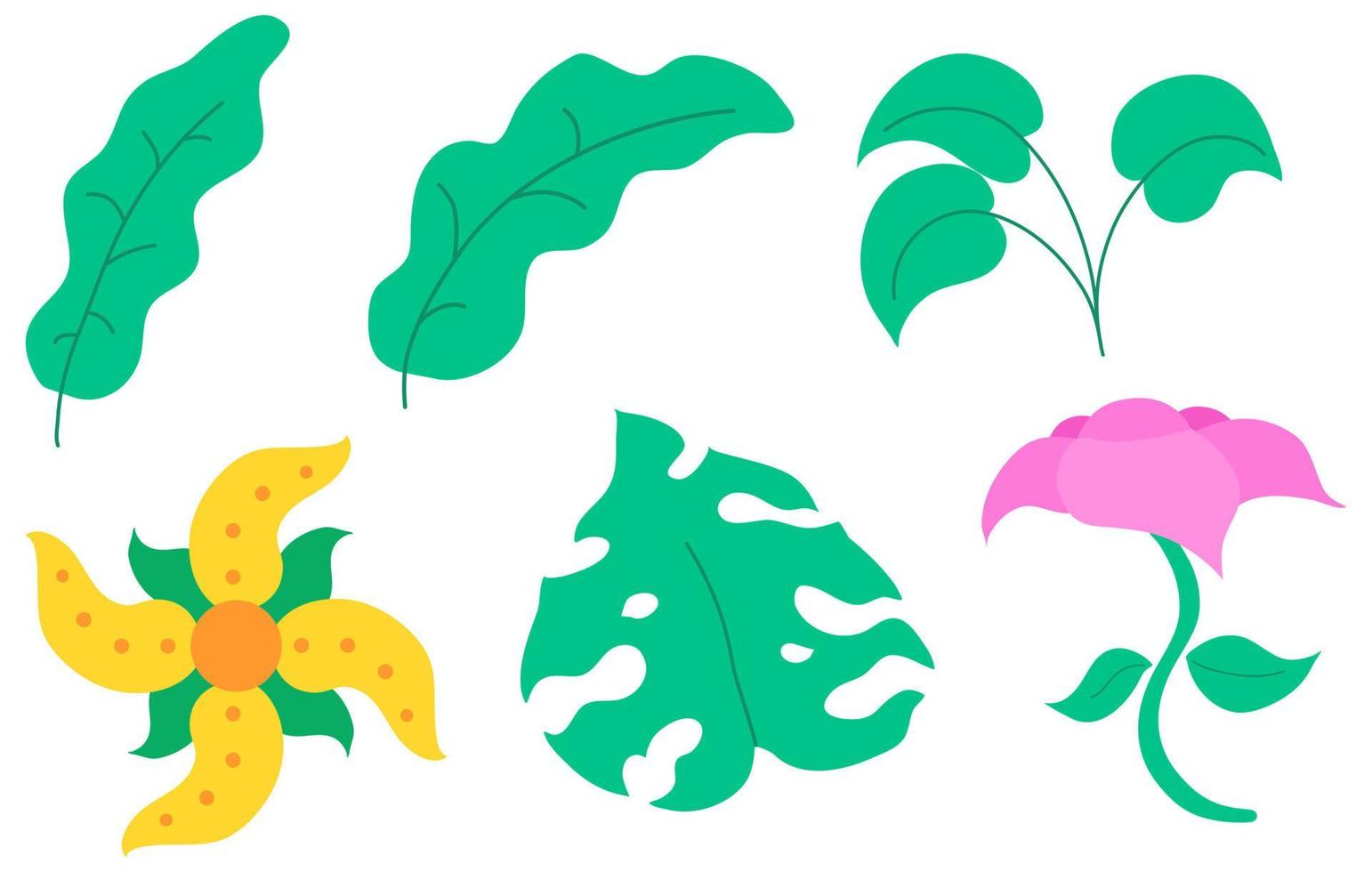 Aesthetic leaf and flower vector