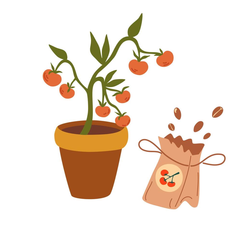 Tomato seedlings. Gardening, harvest, planting. Tomatoes in a pot, fresh vegetables, seeds. Gardening concept summer and spring. Vector cartoon Illustration.